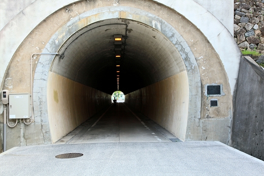 e0190885_2032790.jpg