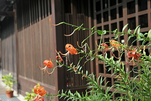 e0190885_2081471.jpg