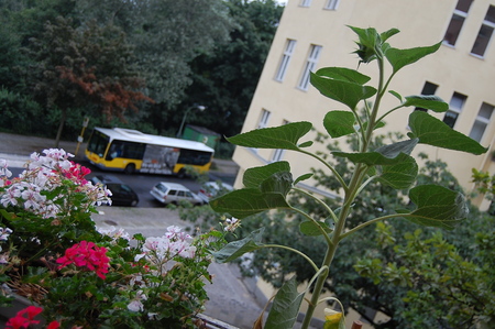 c0180686_411527.jpg