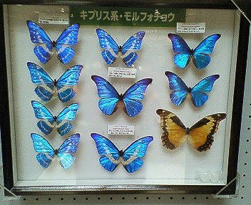c0014187_1910857.jpg