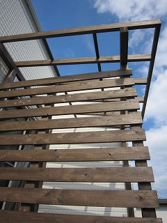 c0160488_22224082.jpg