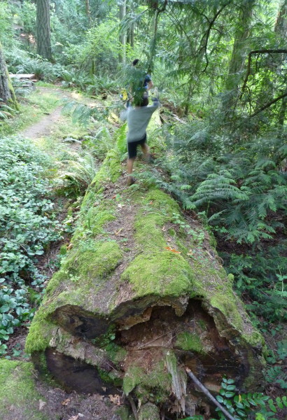 e0122193_1853652.jpg
