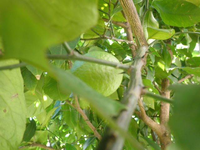 f0130894_21193627.jpg