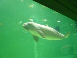 f0199394_305525.jpg