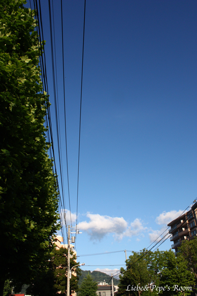 f0001895_1642936.jpg