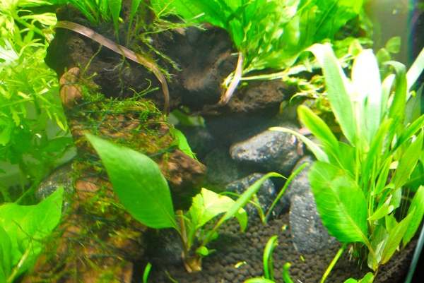 c0225297_5242567.jpg