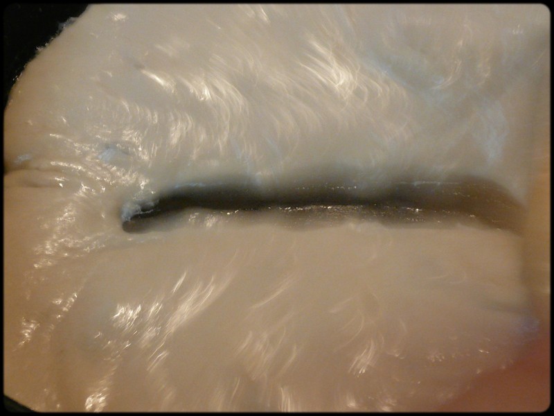 e0192200_12333086.jpg