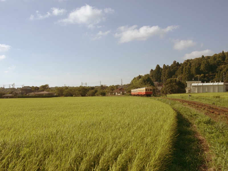 f0224100_4585945.jpg