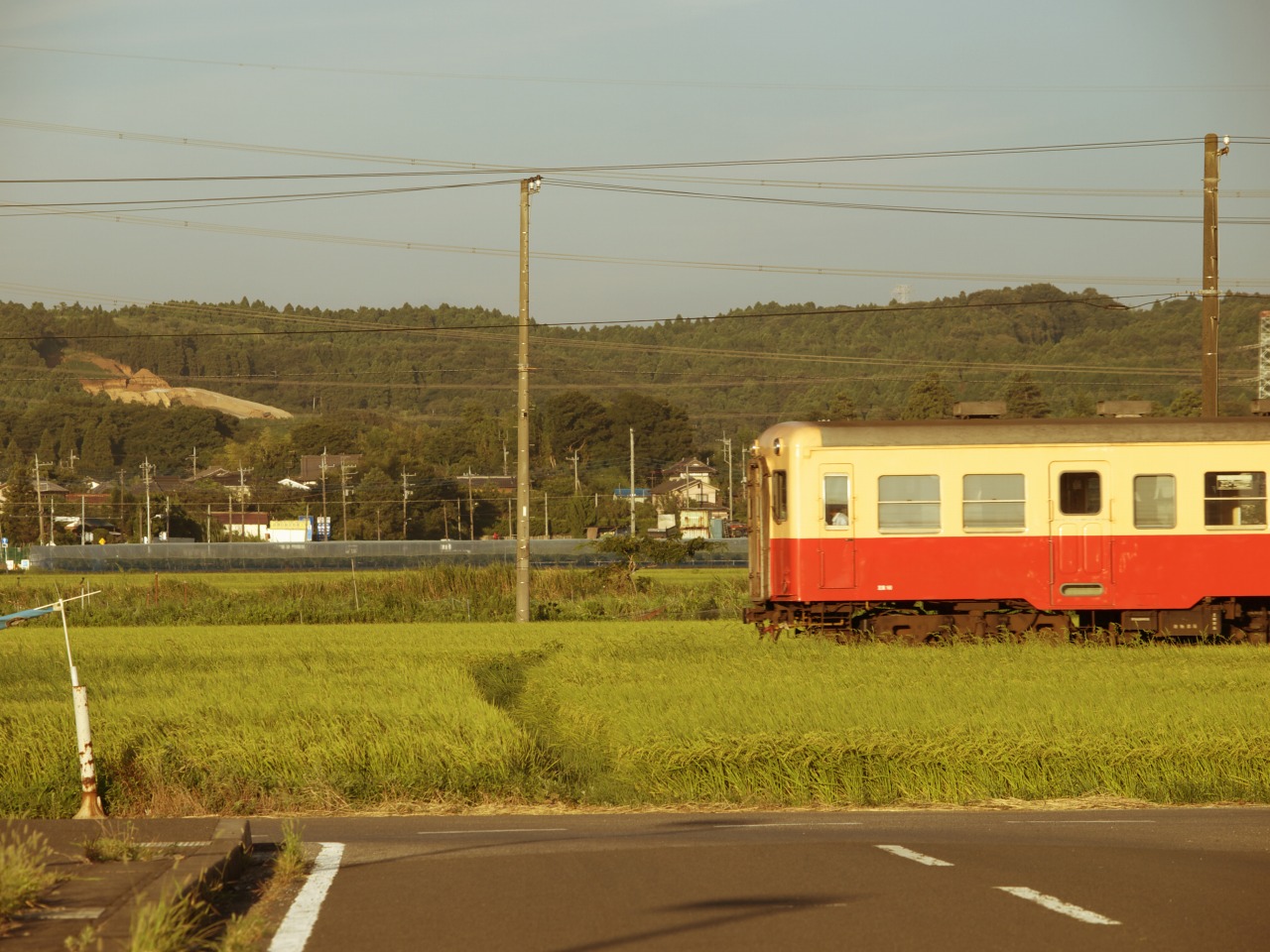 f0224100_541072.jpg