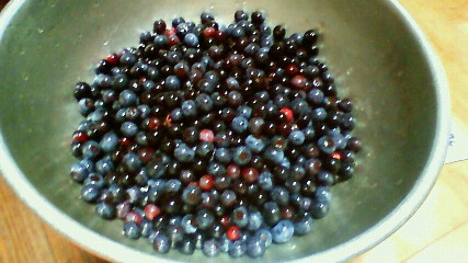 c0017505_13524334.jpg