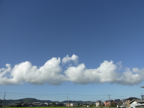 c0205806_1743746.jpg
