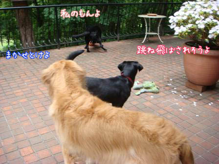 f0064906_15471866.jpg