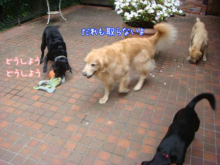 f0064906_15482276.jpg