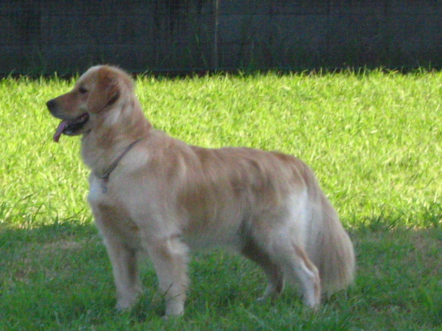 d0150309_206395.jpg