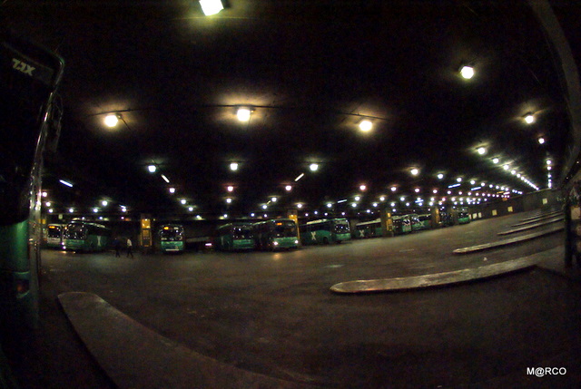 c0037611_21505332.jpg