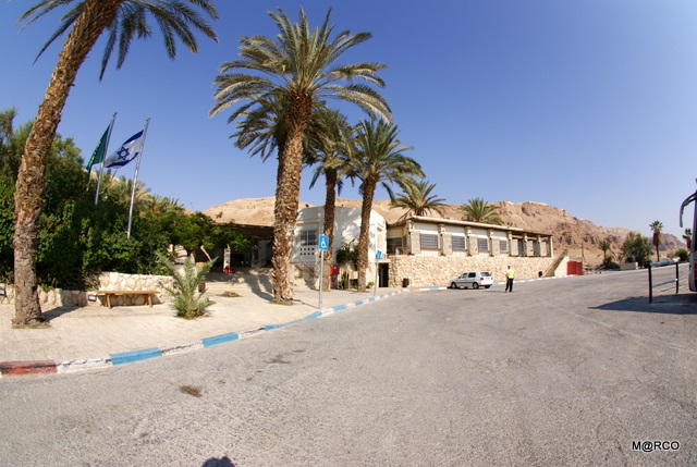 c0037611_21574850.jpg