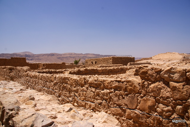 c0037611_22501010.jpg