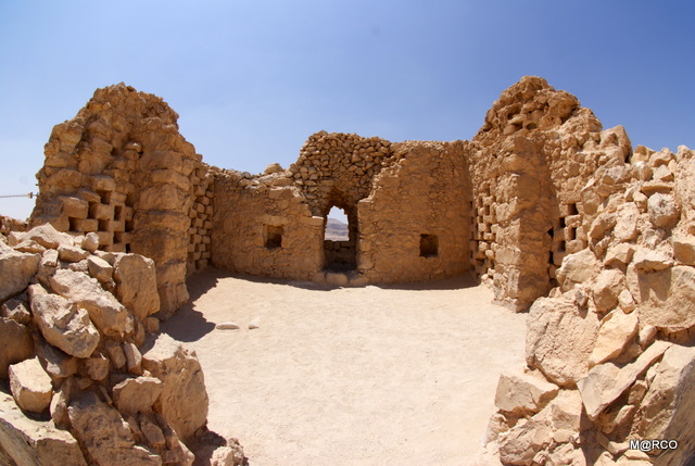 c0037611_2250316.jpg
