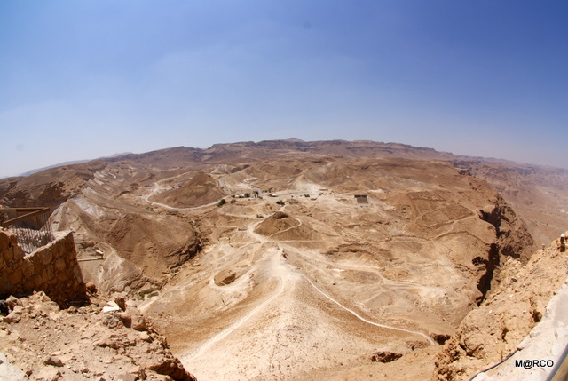 c0037611_2251115.jpg