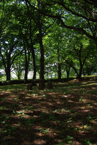 d0147812_1758566.jpg