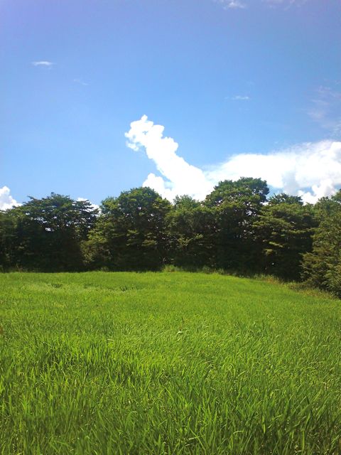 f0209618_13572565.jpg