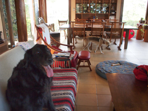 c0012120_01258100.jpg