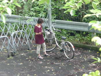 c0013324_1783372.jpg