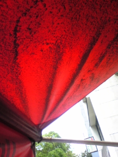 e0119327_1218496.jpg