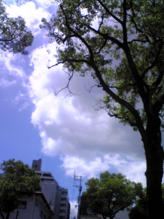 e0119327_12192366.jpg