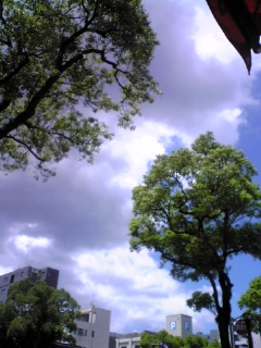 e0119327_12193795.jpg