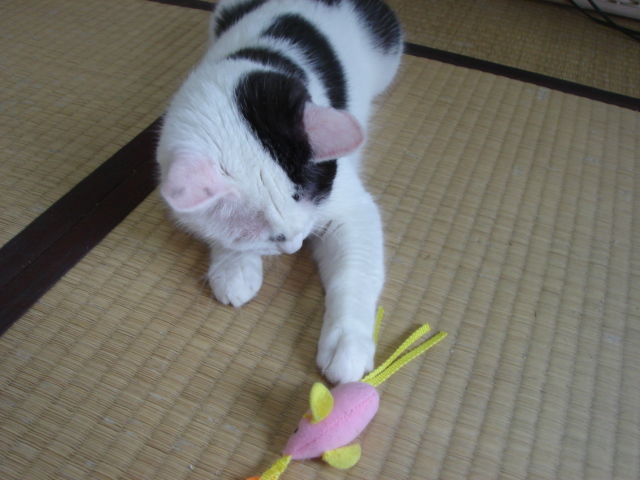 b0000829_10111470.jpg