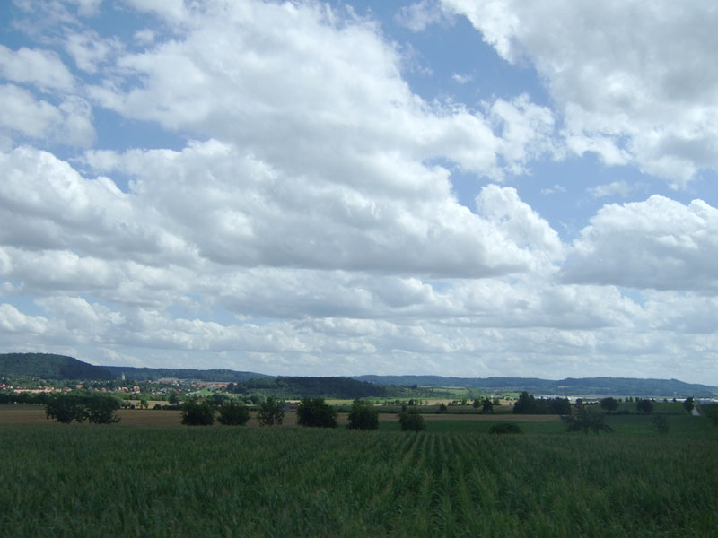 d0086329_16203996.jpg