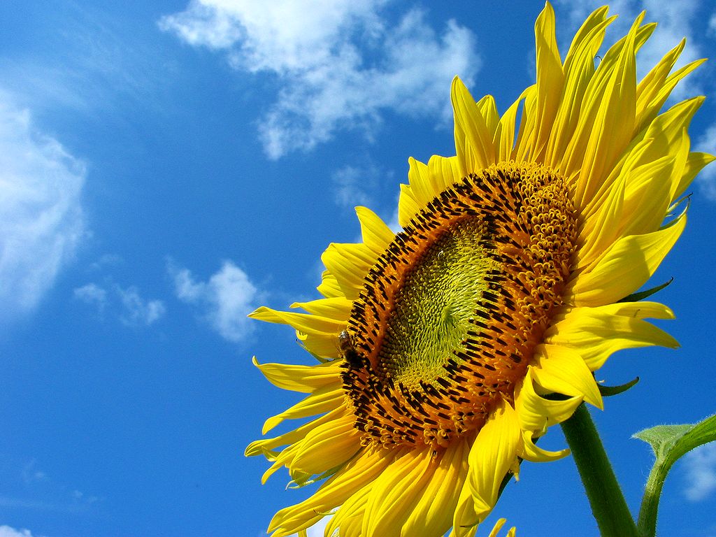 a0123331_21231638.jpg