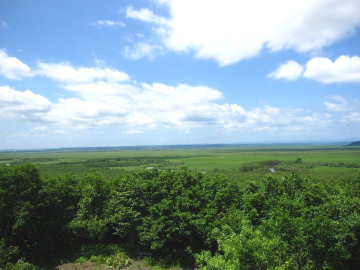 d0088735_14232617.jpg