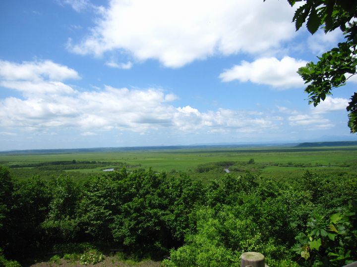 d0088735_14241478.jpg