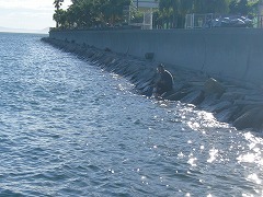 b0149237_15484363.jpg