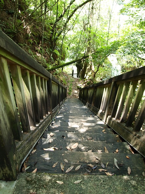 a0146442_1103123.jpg
