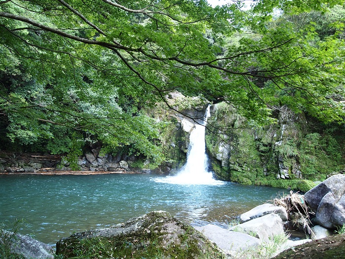 a0146442_1133228.jpg