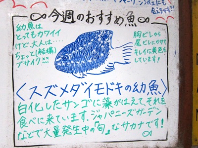 e0027447_2345259.jpg