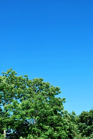 b0086858_14545783.jpg