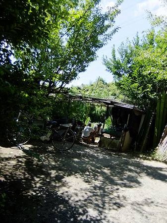 c0097558_13541565.jpg