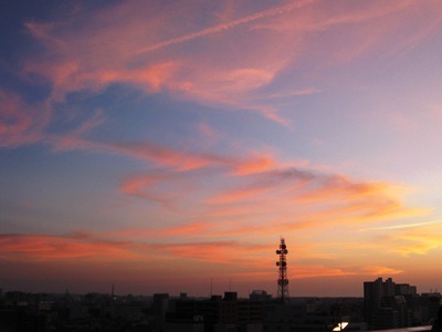 c0190960_665429.jpg