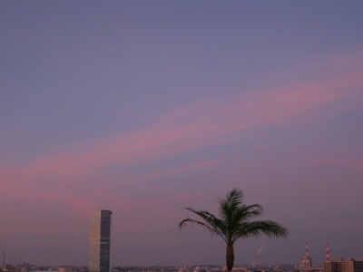 c0190960_671072.jpg
