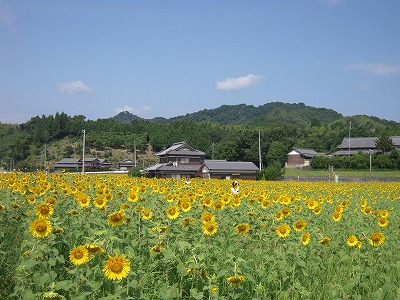 e0066062_085898.jpg