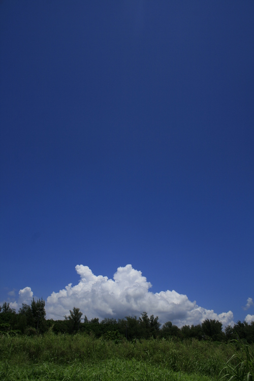 b0138768_08137.jpg