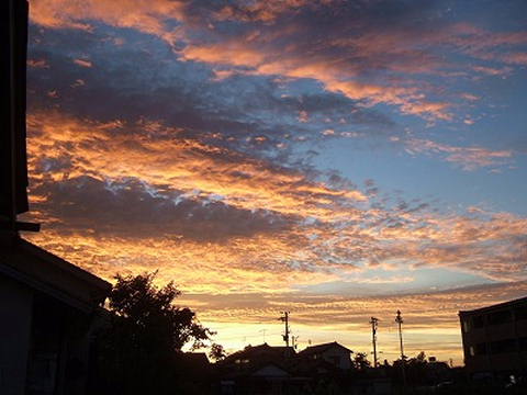 c0022275_2018156.jpg