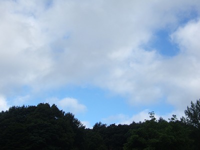 b0143879_21591925.jpg