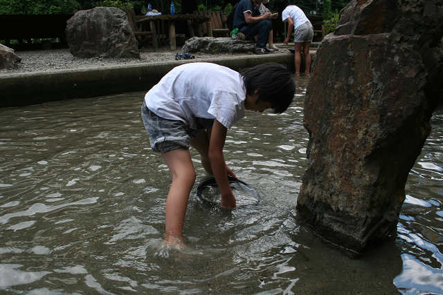 f0082181_22344882.jpg