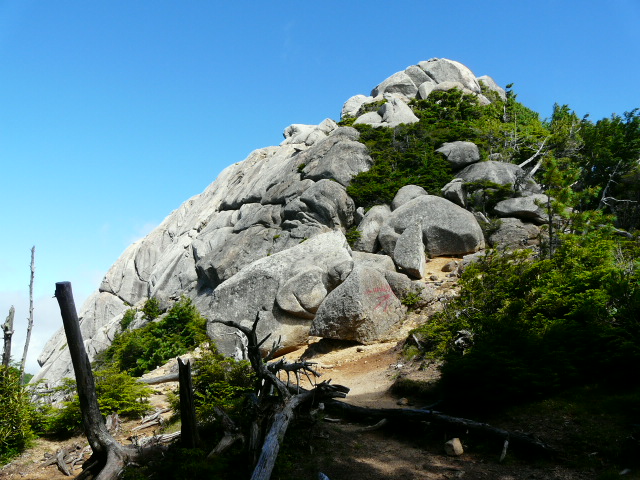 e0145782_1822971.jpg