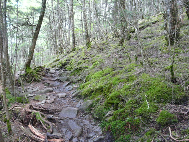 e0145782_183133.jpg
